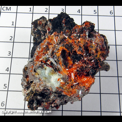 Mineral Specimen: Crocoite, Goethite, Gibbsite, unidentified green/blue material from Red Lead Mine, Dundas, Tasmania, Australia Mineral Specimen: Crocoite, Goethite, Gibbsite, unidentified green/blue material from Red Lead Mine, Dundas, Tasmania, Australia