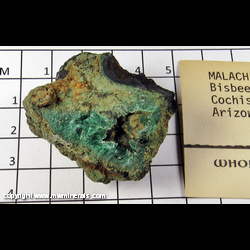 Mineral Specimen: Malachite from Bisbee, Warren dist, Cochise Co, Arizona Mineral Specimen: Malachite from Bisbee, Warren dist, Cochise Co, Arizona