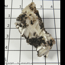 Mineral Specimen: Cerussite variety Jackstraw from Flux Mine, Pantagonia, Santa Cruz Co,  Arizona