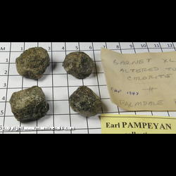 Mineral Specimen: Garnet Crystals Pseudomorphed to Chlorite (4) from Palmdale Road, near Victorsville, San Bernardino Co., California Mineral Specimen: Garnet Crystals Pseudomorphed to Chlorite (4) from Palmdale Road, near Victorsville, San Bernardino Co., California