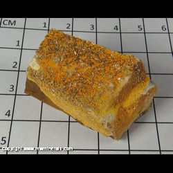Mineral Specimen: Vanadinite variety Endlichite, Mimetite from Chalk Mountain Mine, Chalk Mountain, Chalk Mountain District, Churchill Co., Nevada Mineral Specimen: Vanadinite variety Endlichite, Mimetite from Chalk Mountain Mine, Chalk Mountain, Chalk Mountain District, Churchill Co., Nevada