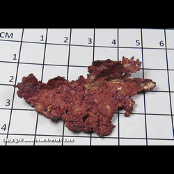 Mineral Specimen: Cuprite variety Chalcotrichite on Native Copper from Ray Mine, Pinal Co, Arizona Mineral Specimen: Cuprite variety Chalcotrichite on Native Copper from Ray Mine, Pinal Co, Arizona
