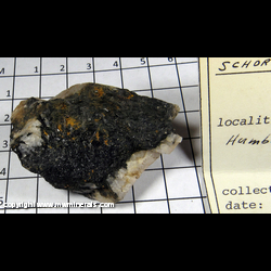 Mineral Specimen: Schorl Tourmaline, Quartz from Humboldt Co., California