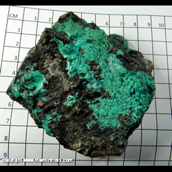 Mineral Specimen: Chrysocolla from Tyrone Mine, Tyrone Area, Burro Mts. Dist, Grant Co, New Mexico Mineral Specimen: Chrysocolla from Tyrone Mine, Tyrone Area, Burro Mts. Dist, Grant Co, New Mexico