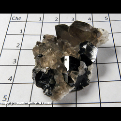 Mineral Specimen: Quartz variety: Smoky, Schorl Tourmaline from Erongo Mountains, Namibia Mineral Specimen: Quartz variety: Smoky, Schorl Tourmaline from Erongo Mountains, Namibia