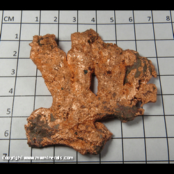 Mineral Specimen: Copper - Crude Seam Crystals from Caledonia Mine, Ontonagon Co, Michigan Mineral Specimen: Copper - Crude Seam Crystals from Caledonia Mine, Ontonagon Co, Michigan