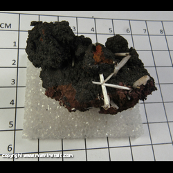 Mineral Specimen: Cerussite variety Jackstraw from Flux Mine, Pantagonia, Santa Cruz Co,  Arizona