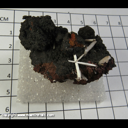 Mineral Specimen: Cerussite variety Jackstraw from Flux Mine, Pantagonia, Santa Cruz Co, Arizona Mineral Specimen: Cerussite variety Jackstraw from Flux Mine, Pantagonia, Santa Cruz Co, Arizona