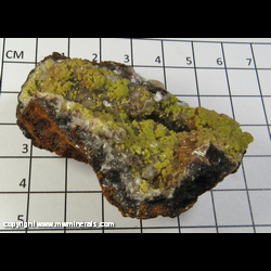 Mineral Specimen: Mimetite on Calcite from Chihuahua, Mexico Mineral Specimen: Mimetite on Calcite from Chihuahua, Mexico
