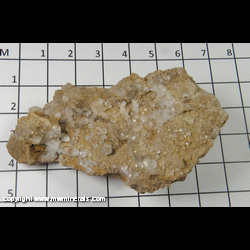 Mineral Specimen: Analcime from Sharon claims, Silver Peak District, Esmeralda Co., Nevada Mineral Specimen: Analcime from Sharon claims, Silver Peak District, Esmeralda Co., Nevada