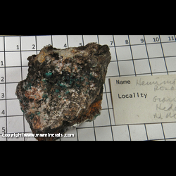 Mineral Specimen: Hemimorphite. Rosasite from Granite Gap, San Simon Dist., Peloncillo Mts, Hidalgo Co., New Mexico Mineral Specimen: Hemimorphite. Rosasite from Granite Gap, San Simon Dist., Peloncillo Mts, Hidalgo Co., New Mexico