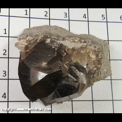 Mineral Specimen: Calcite, Iridescent Root Beer from Wallace Stone Quarry, Bayport, Huron Co., Michigan Mineral Specimen: Calcite, Iridescent Root Beer from Wallace Stone Quarry, Bayport, Huron Co., Michigan