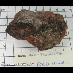 Mineral Specimen: Mottramite from Ford Mine, Tucson Wash, Mammoth Dist., Pinal Co., Arizona Mineral Specimen: Mottramite from Ford Mine, Tucson Wash, Mammoth Dist., Pinal Co., Arizona