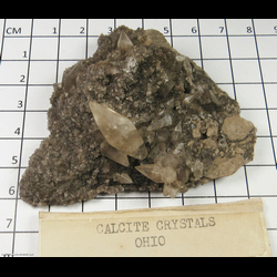 Mineral Specimen: Calcite from Ohio Mineral Specimen: Calcite from Ohio