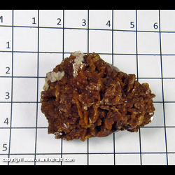 Mineral Specimen: Sphalerite from Clay Center, Ohio