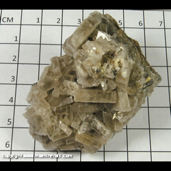 Mineral Specimen: Barite, Pyrite from Shirley Basin, Carbon Co., Wyoming