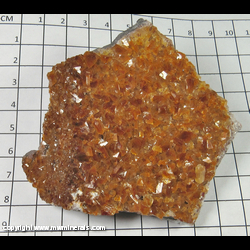Mineral Specimen: Calcite from Chihuahua, Mexico Mineral Specimen: Calcite from Chihuahua, Mexico