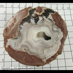 Mineral Specimen: Agate in Rhyolite (polished) from Chihuahua, Mexico Mineral Specimen: Agate in Rhyolite (polished) from Chihuahua, Mexico