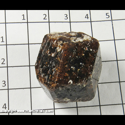 Mineral Specimen: Dravite Tourmaline, double terminated from Yinnietharra, Upper Gascoyne Shire, Western Australia, Australia