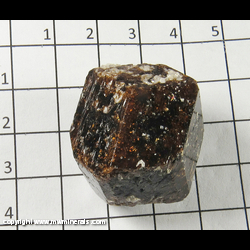 Mineral Specimen: Dravite Tourmaline, double terminated from Yinnietharra, Upper Gascoyne Shire, Western Australia, Australia Mineral Specimen: Dravite Tourmaline, double terminated from Yinnietharra, Upper Gascoyne Shire, Western Australia, Australia
