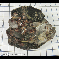 Mineral Specimen: Almandine Garnet from Gore Mt,  North River, Warren Co,  New York