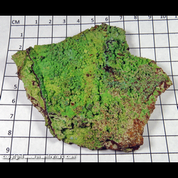 Mineral Specimen: Conichalcite from Mina Ojuela, Mapimi, Durango, Mexico