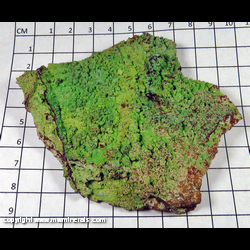 Mineral Specimen: Conichalcite from Mina Ojuela, Mapimi, Durango, Mexico Mineral Specimen: Conichalcite from Mina Ojuela, Mapimi, Durango, Mexico