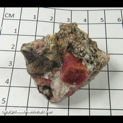 Mineral Specimen: Rapsberry Garnet (Grossular) from Sierra de Cruces, Coahuila, Mexico