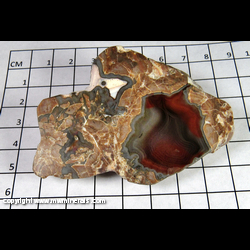 Mineral Specimen: Agate in Rhyolite (semi polished) from Baker Egg Ranch (Baker Ranch Agate Mine), Carrizalillo District, Luna Co., New Mexico Mineral Specimen: Agate in Rhyolite (semi polished) from Baker Egg Ranch (Baker Ranch Agate Mine), Carrizalillo District, Luna Co., New Mexico