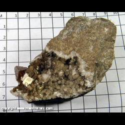 Mineral Specimen: Calcite - Iridescent and white from Pendelton Irving Materials Quarry, Anderson, Madison Co, Indiana Mineral Specimen: Calcite - Iridescent and white from Pendelton Irving Materials Quarry, Anderson, Madison Co, Indiana