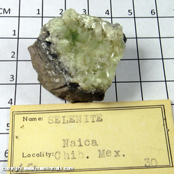 Mineral Specimen: Selenite from Naica, Chihuahua, Mexico