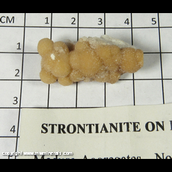 Mineral Specimen: Strontianite on Barite from Medusa Aggregates - North Quarry, Warren Co., Kentucky Mineral Specimen: Strontianite on Barite from Medusa Aggregates - North Quarry, Warren Co., Kentucky