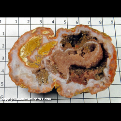 Mineral Specimen: Agate/Quartz Geode from Mexico Mineral Specimen: Agate/Quartz Geode from Mexico