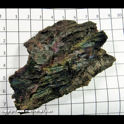 Mineral Specimen: Turgite (Goethite/Hematite), Iridescent Casts After Kyanite from Graves Mountain, Lincoln Co., Georgia Mineral Specimen: Turgite (Goethite/Hematite), Iridescent Casts After Kyanite from Graves Mountain, Lincoln Co., Georgia