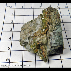 Mineral Specimen: Andradite Garnet variety: Topazolite from San Benito Co., California Mineral Specimen: Andradite Garnet variety: Topazolite from San Benito Co., California