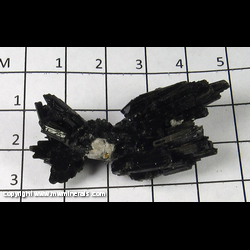 Mineral Specimen: Schorl Tourmaline, Goshenite from Erongo Mountain, Namibia