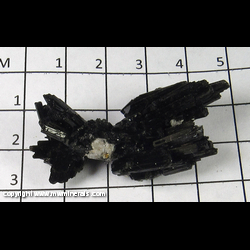Mineral Specimen: Schorl Tourmaline, Goshenite from Erongo Mountain, Namibia Mineral Specimen: Schorl Tourmaline, Goshenite from Erongo Mountain, Namibia