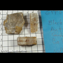Mineral Specimen: Gypsum variety: Selenite (3 specimens) from Black Diamond Estates, Antioch, Contra Costa Co., California Mineral Specimen: Gypsum variety: Selenite (3 specimens) from Black Diamond Estates, Antioch, Contra Costa Co., California