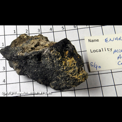 Mineral Specimen: Enargite from Morning Star Mine, Alpine Co., California Mineral Specimen: Enargite from Morning Star Mine, Alpine Co., California