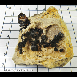Mineral Specimen: Limonite Pseudomorph after Pyrite from Scales Mound, Jo Daviess Co., Illinois Mineral Specimen: Limonite Pseudomorph after Pyrite from Scales Mound, Jo Daviess Co., Illinois