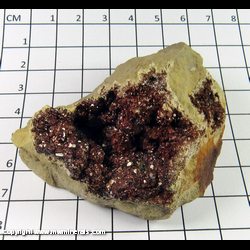 Mineral Specimen: Ankerite, Pyrite from Scales Mound, Jo Daviess Co., Illinois Mineral Specimen: Ankerite, Pyrite from Scales Mound, Jo Daviess Co., Illinois