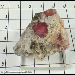 Mineral Specimen: Grossular Garnet variety: Raspberry, Quartz from Sierra de Cruces, Coahuila, Mexico Mineral Specimen: Grossular Garnet variety: Raspberry, Quartz from Sierra de Cruces, Coahuila, Mexico