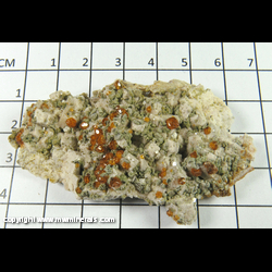 Mineral Specimen: Spessartine Garnet (gemmy), Chhlorite, Muscovite, K-Feldspar from Tongbei, Fujian, China Mineral Specimen: Spessartine Garnet (gemmy), Chhlorite, Muscovite, K-Feldspar from Tongbei, Fujian, China