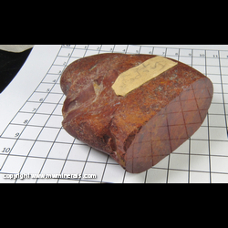 Mineral Specimen: Jasper, Red from Texas Mineral Specimen: Jasper, Red from Texas