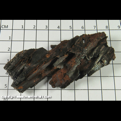 Mineral Specimen: Goethite Pseudomorph after Selenite from Santa Eulalia, Chihuahua, Mexico Mineral Specimen: Goethite Pseudomorph after Selenite from Santa Eulalia, Chihuahua, Mexico
