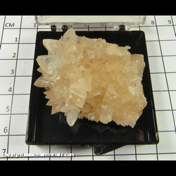 Mineral Specimen: Calcite from Lecanto, Citrus Co., Florida Mineral Specimen: Calcite from Lecanto, Citrus Co., Florida