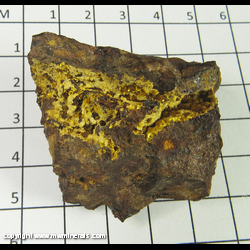 Mineral Specimen: Cacoxenite from Indian Mountain, Cherokee Co, Alabama Mineral Specimen: Cacoxenite from Indian Mountain, Cherokee Co, Alabama