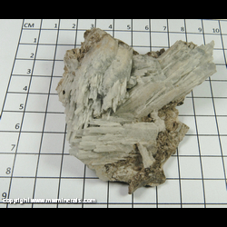 Mineral Specimen: Celestine from Holloway Quarry, Berlin Twp, Monroe Co, Michigan` Mineral Specimen: Celestine from Holloway Quarry, Berlin Twp, Monroe Co, Michigan`