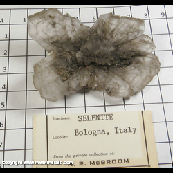 Mineral Specimen: Selenite from Bologna Province, Emilia-Romagna, Italy Mineral Specimen: Selenite from Bologna Province, Emilia-Romagna, Italy