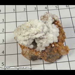 Mineral Specimen: Aragonite on Dolomite from Missouri Hwy. 34 roadcut, Patterson, Wayne Co,  Missouri